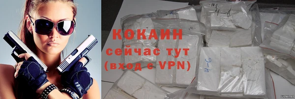 гидра Щигры