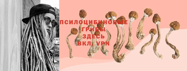 тгк Щёлкино