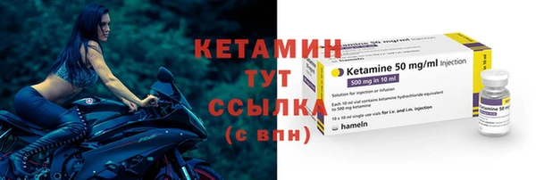 гидра Щигры