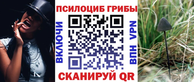 Купить  Облучье  Псилоцибиновые грибы GOLDEN TEACHER 